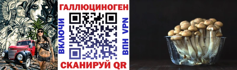 купить   Учалы  Галлюциногенные грибы Psilocybe 
