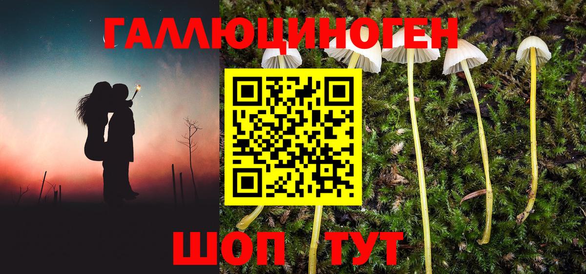 Галлюциногенные грибы Psilocybine cubensis  Псилоцибиновые грибы мухоморы  Вход с VPN  Учалы 
